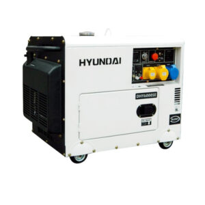 Diesel Power Generator DHY6000SE